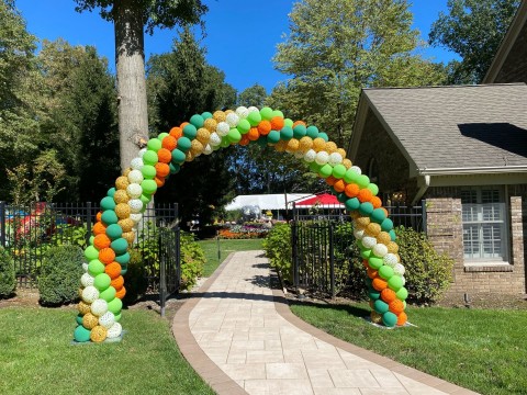 Custom Animal Print Balloon Arch for Outdoor Party Decor