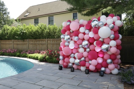 Organic Balloon Wall for Girls Outdoor Party Decor