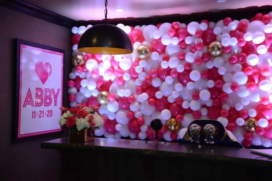 Pink Organic Balloon Wall with LED Uplighting for Home Zoom Service