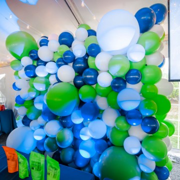 Organic Balloon Wall for Boys Party Decor