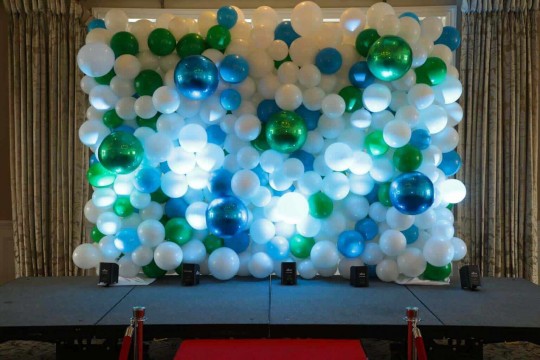 Organic Balloon Wall Backdrop with LED Uplighting  for Charity Event