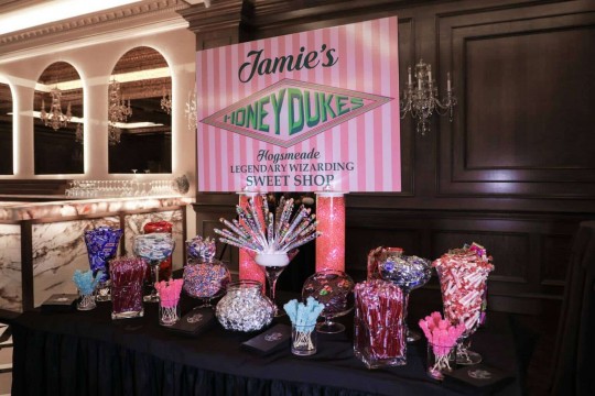 Harry Potter Themed Candy Bar with Custom Honey Dukes Sign