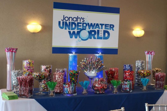 Candy Bar Display with Custom Logo Sign, Candy Bags & LED Lights