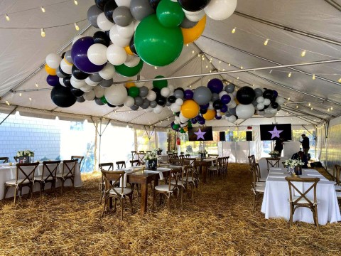 Organic Balloon Garland on Ceiling of Tent for Rustic Themed Bar Mitzvah