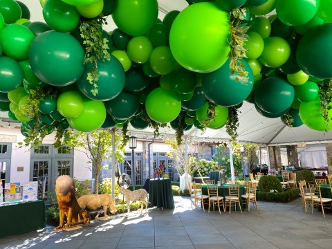 Balloon Garland Sculpture with Greenery over Ceiling, Custom Printed Signs and Life Size Animal Cut Outs for Jungle Themed Bar Mitzvah