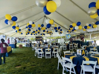 Yellow, Navy Blue. Silver & White Clusters of Balloons on Tent Ceiling For Outdoor Bar Mitzvah Decor
