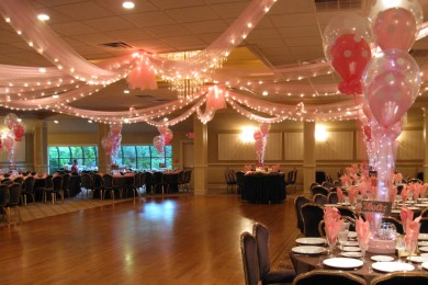 Pink Tulle with Lights Swagged over Dance Floor
