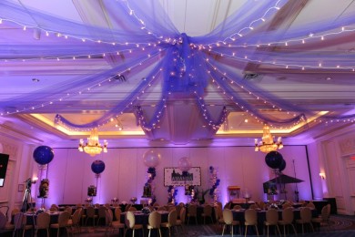 Purple Tulle with Lights Draped from Ceiling