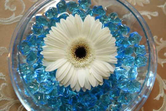 LED Cocktail Centerpiece with Floating Gerber Daisy