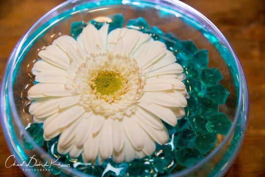 LED Gerber Daisy Centerpiece with Teal Chips