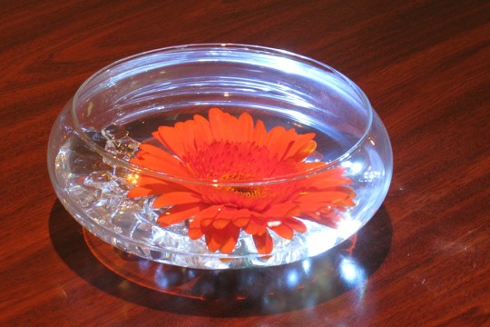 Crystal Chips & Floating Gerber Daisy in Glass Bowl Centerpiece
