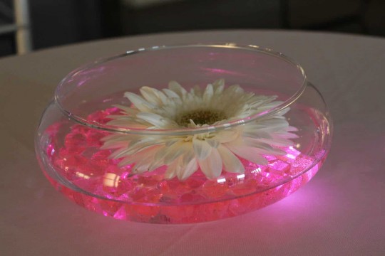 Bowl with Crystal Chips, LED Lighting & Floating Gerber Daisy for Cocktail Hour