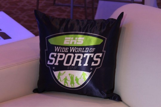 Custom Logo Pillow for ESPN Themed Bar Mitzvah
