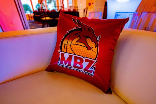custom_logo_bar_mitzvah_pillow
