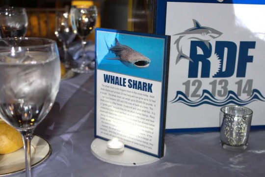 Shark Themed Info Sheet Table Signs