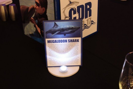 Info Sheet Table Sign for Shark Themed Bar Mitzvah