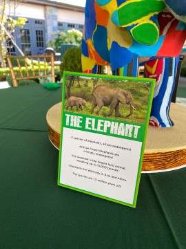 Custom Printed and Free Standing Elephant Table Sign with Curiosities for Jungle Themed Bar Mitzvah