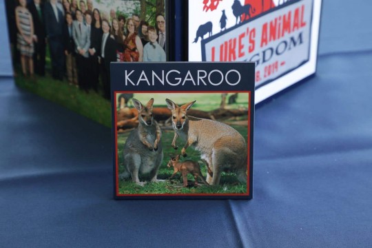 Custom Kangaroo Table Sign for Animal Themed Bar Mitzvah