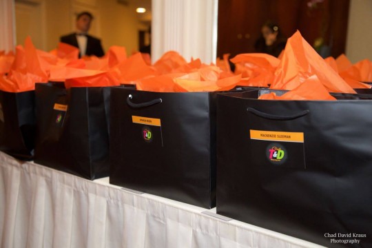 Party Favor Bags with Logo Labels & Colored Tissue Paper