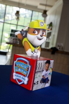 Paw Patrol Themed LED Mini Cube Centerpiece with Logo, Picture and Cut Out for First Birthday Decor