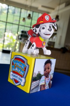 Unique Paw Patrol Themed LED Mini Cube Centerpiece with Logo, Picture and Cut Out for First Birthday Lounge Decor