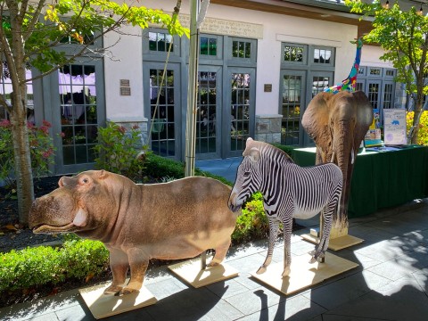 Extraordinary Life-Size Cutout of Animals for Jungle Themed Bar Mitzvah