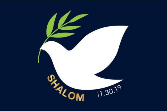 Peace Themed Bar Mitzvah Logo