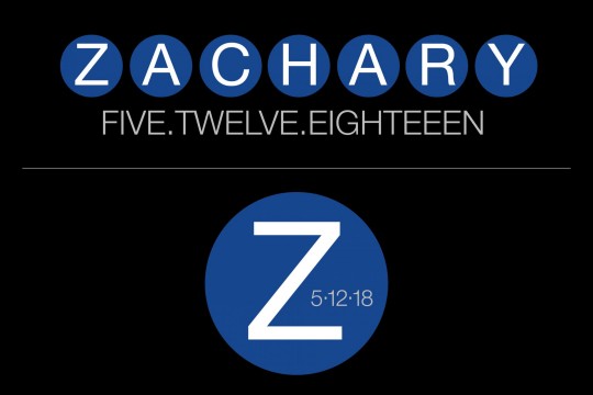 No Theme Bar Mitzvah Logo