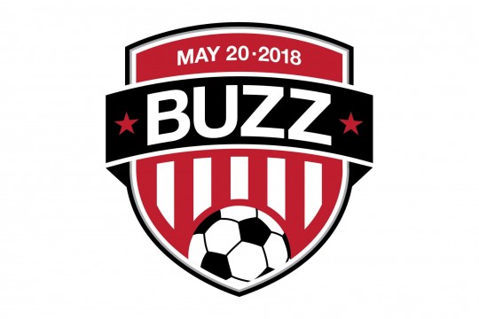 Soccer Theme Bar Mitzvah Logo