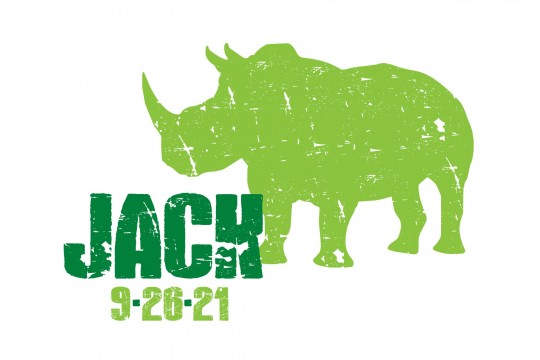 Rhino Animal Logo Design