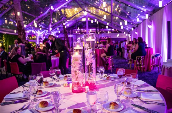 Hot Pink Orchid Centerpiece with Floating Candles for Bat Mitzvah at Bryant Park Grill, NYC
