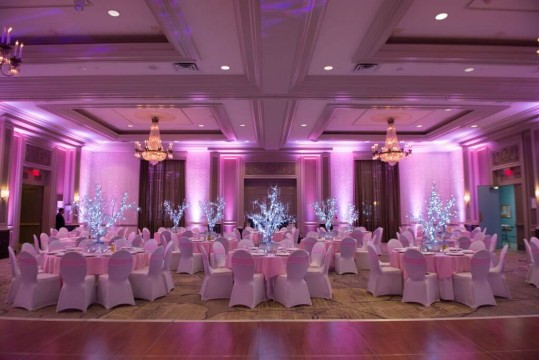 Winter Themed Bat Mitzvah with LED Tree Centerpieces and Pink Uplighting at the Pearl River Hilton