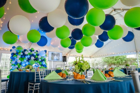 Beautiful Bar Mitzvah Tent Party with 3' Balloon Ceiling Treatment 
&  Organic Balloon Wall For Backyard Party Decor