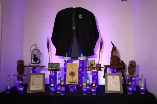 LED Harry Potter Display with 3D Props for Bat Mitzvah