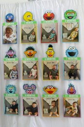 Sesame Street Theme Backdrop with Age Timeline