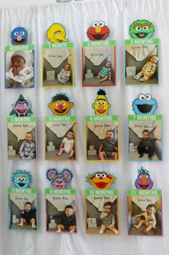 Sesame Street Theme Backdrop with Age Timeline