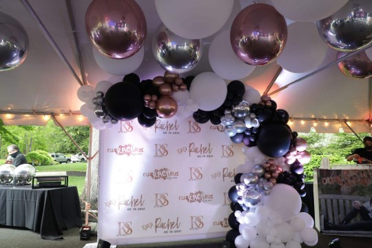 Organic Half Arch over Step & Repeat for Tent Party