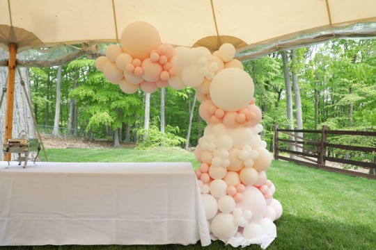 Light Pink Organic Half Arch Over Food Table for Outdoor Party Decor