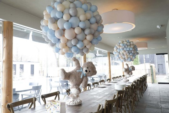 Custom Organic Hot Air Balloon for Baby Shower Party