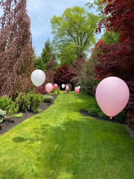 Free Standing Balloons Over Backyard for Outdoor Party Decor