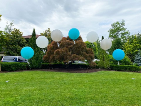 Outdoors Balloon Gazebo for Backyard Party Decor
