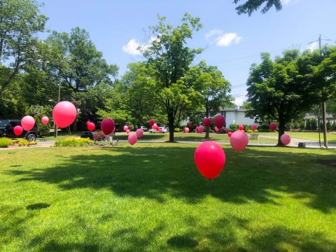 Shades of Pink Balloon Scape for Outdoor Drive By Birthday