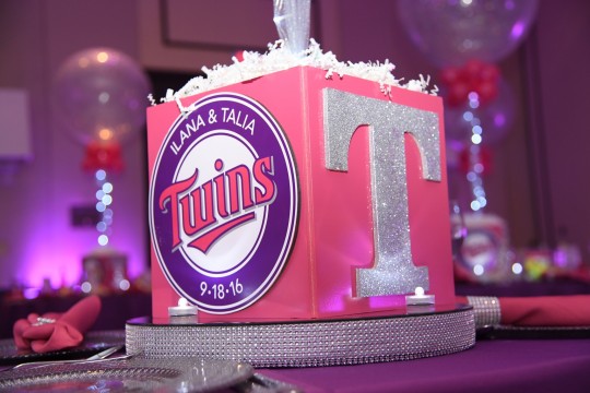 Twins Themed Cube Centerpiece with Glittered Initials & Logos