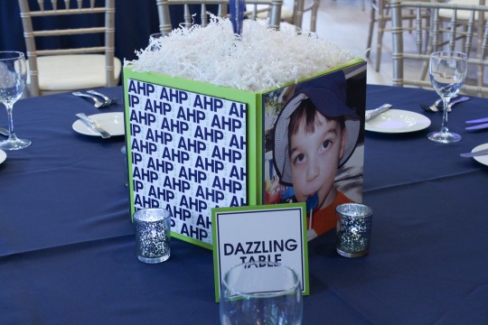 Navy & Lime Cube Centerpieces with Logo Pattern & Photos