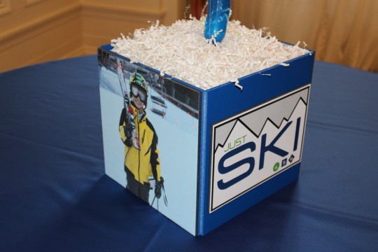 Ski Themed Photo Cube Centerpiece with Custom Logo & Photos