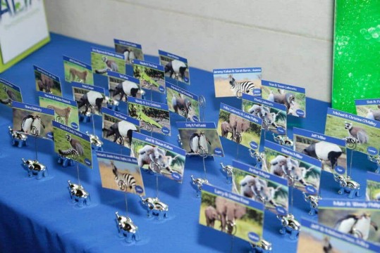 Animal Themed Place Cards with Photos in Elephant Holders