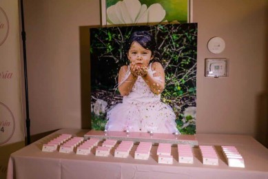 Custom Seating Card Display with Blowup Photo for First Birthday