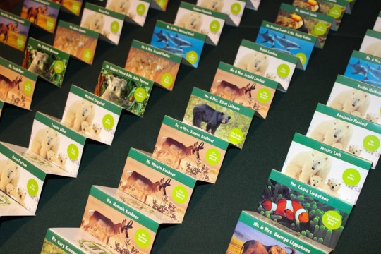 Custom Themed Fold Over Place Cards with Animal Photos