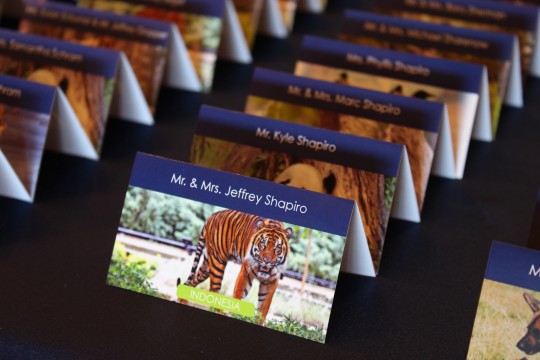 Custom Themed Place Cards with Animal Images