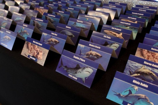 Custom Place Cards with Photos for Shark Themed Bar Mitzvah